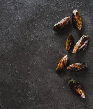 Kayrak taş zemin üzerine taze çiğ midye. Deniz ürünleri, en iyi görünüm, düz yatıyordu, kopyalama alanı.