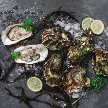 Taze limonlu istiridye, baharat, tuz, bir bıçak ve kayrak taş zemin üzerine yosun açıldı. Deniz ürünleri, kabuklu deniz ürünleri, üstten görünüm