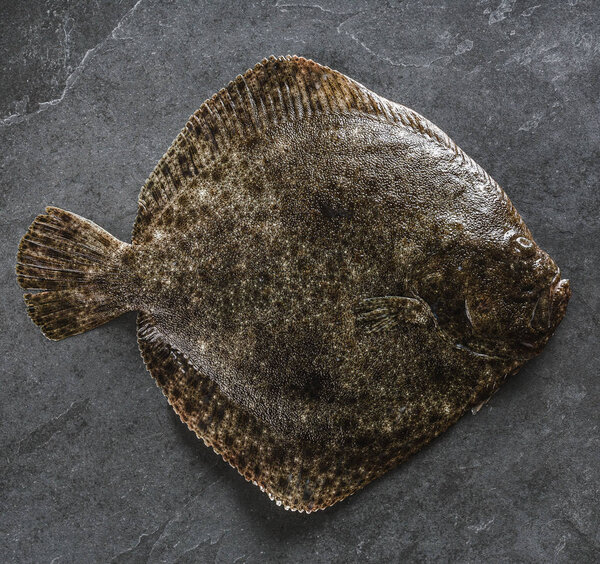 Raw whole flounder fish on dark stone background, top view