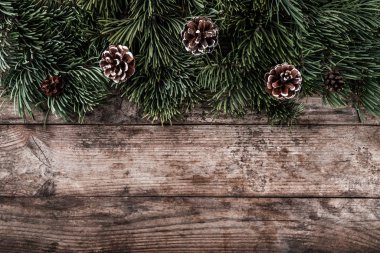 Tatil Noel çam dalları, Ladin, çam kozalakları arka plan. Noel ve yeni yıl tema. Düz yatıyordu, en iyi görünümü