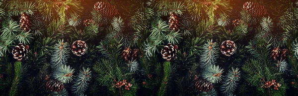 Tatil Noel ağaç dalları, Ladin, ardıç, köknar, karaçam, çam kozalakları ışık ile arka plan. Noel ve yeni yıl tema. Düz yatıyordu, en iyi görünüm, geniş kompozisyon, seamless modeli