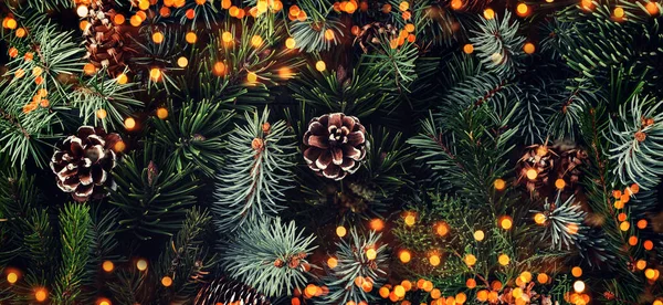 Tatil Noel Ağaç Dalları Ladin Ardıç Köknar Karaçam Çam Kozalakları — Stok fotoğraf