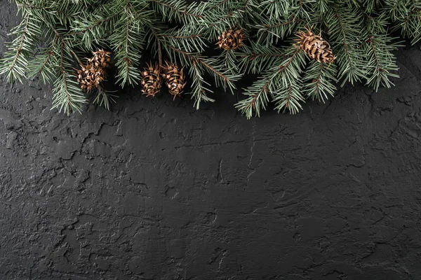Karácsonyi Fenyő Ágak Fenyőtobozok Hópelyhek Sötét Háttér Előtt Karácsony Újév — Stock Fotó