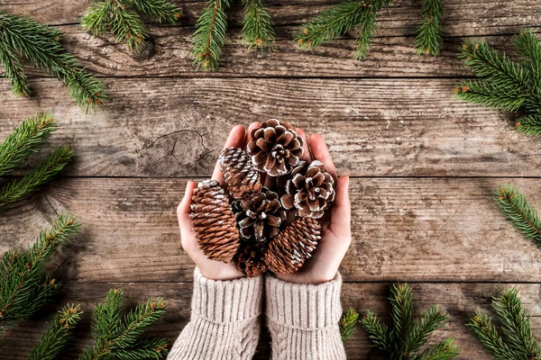 Female hands holding a pine cones on wooden background with Christmas fir branches, spruce, juniper, fir, larch. Xmas and New Year theme. Flat lay, top view