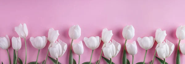 Witte Tulpen Bloemen Licht Roze Achtergrond Wenskaart Bruiloft Uitnodiging Plat — Stockfoto