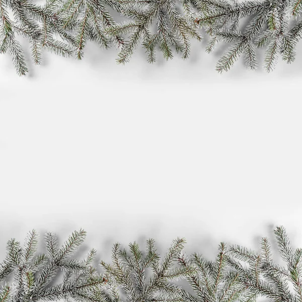 Christmas Fir Grenar Vit Bakgrund Med Snöflingor Xmas Och Nyår — Stockfoto