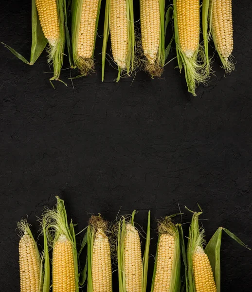 Fresh Corn Cobs Dark Stone Table Food Concept Copy Space — Stock Photo, Image