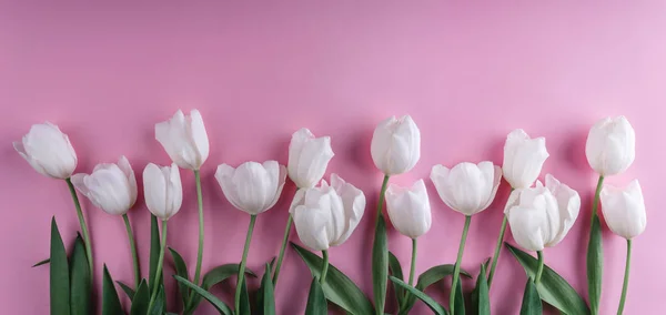 Witte Tulpen Bloemen Licht Roze Achtergrond Wenskaart Bruiloft Uitnodiging Plat — Stockfoto