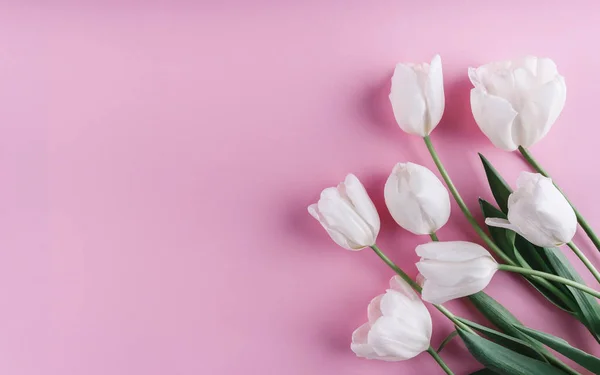 Weiße Tulpen Blühen Auf Hellrosa Hintergrund Grußkarte Oder Hochzeitseinladung Flache — Stockfoto