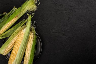 Taze mısır koçanı plaka üzerinde karanlık taş tablo üzerinde. Gıda kavramı. Alan üst görünüm Kopyala