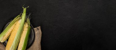 Taze mısır koçanı karanlık bir taş tablo üzerinde. Gıda kavramı. Alanı yukarıdan kopyalayın. Geniş kompozisyon