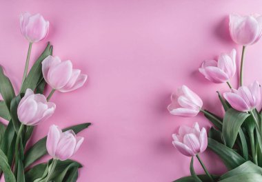 Pembe lale çiçek hafif pembe bir arka plan üzerinde. Tebrik kartı veya düğün davetiyesi. Düz yatıyordu, en iyi görünüm, kopya alanı