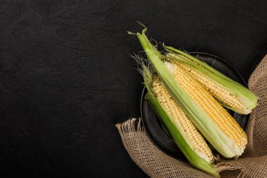 Taze mısır koçanı plaka üzerinde karanlık taş tablo üzerinde. Gıda kavramı. Alan üst görünüm Kopyala
