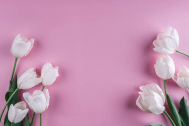 Lale çiçek hafif pembe arka plan üzerinde beyaz. Tebrik kartı veya düğün davetiyesi. Düz yatıyordu, en iyi görünüm, kopya alanı