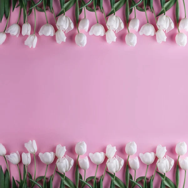 Tulipanes Blancos Flores Sobre Fondo Rosa Claro Tarjeta Felicitación Invitación — Foto de Stock