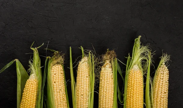 Fresh Corn Cobs Plate Dark Stone Table Food Concept Copy — Stock Photo, Image