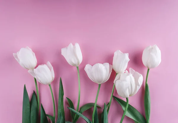 Tulipanes Blancos Flores Sobre Fondo Rosa Claro Tarjeta Felicitación Invitación — Foto de Stock