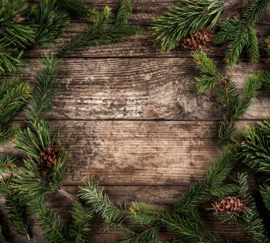 Tatil Noel köknar arka plan dalları, Ladin, ardıç, köknar, karaçam, çam kozalakları ışık ile. Noel ve yeni yıl tema. Düz yatıyordu, en iyi görünümü