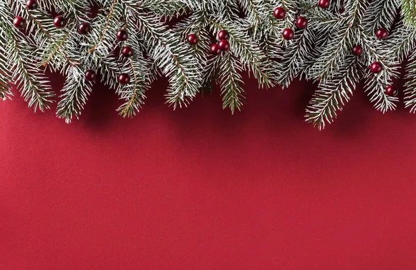 Kreativer Gestaltungsrahmen Aus Tannenzweigen Roten Beeren Auf Rotem Papierhintergrund Weihnachts — Stockfoto