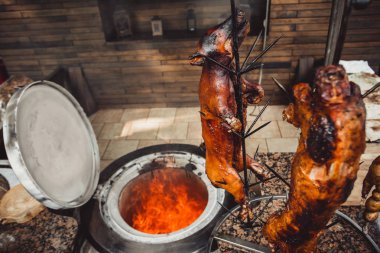 Izgara domuz, Kavrulmuş tavşan, kuzu geleneksel, sıcak tandır ızgara. Sıcak et yemekleri