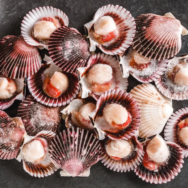 Vieiras Cruas Fundo Ardósia Frutos Mar Shellfish Vista Superior Flat — Fotografia de Stock