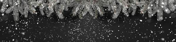 Різдвяна Ялина Гілки Темному Тлі Різдво Новий Рік Тема Сніг — стокове фото
