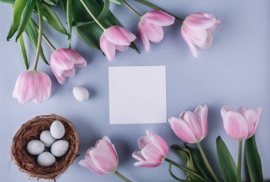 Paskalya yumurta yuva ve Lale çiçek bahar arka plan üzerinde. Üstten Görünüm kopya alanı ile. Mutlu Paskalya kartı