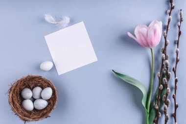 Paskalya yumurta yuva ve Lale çiçek kartı ile mavi arka plan üzerinde. Mutlu paskalyalar. Kopya alanı ile Üstten Görünüm