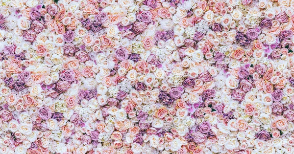 Blommor vägg bakgrund med fantastiska röda och vita rosor, bröllop dekoration, handgjorda. Toning. — Stockfoto