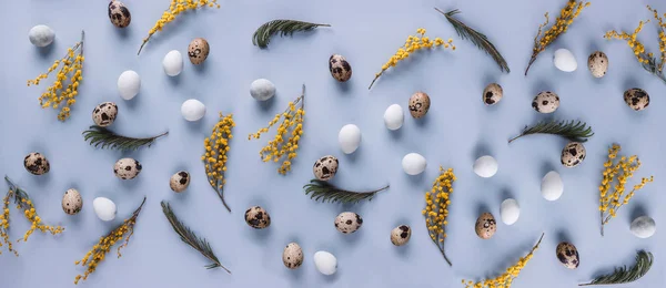 Velikonoční vajíčka vzorek pozadí s jarních květin. Pohled shora s kopie prostoru. Happy Velikonoční přání — Stock fotografie