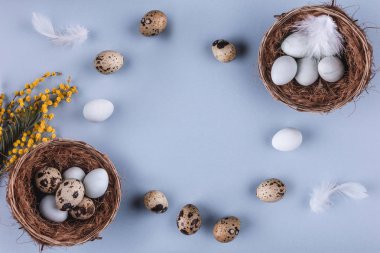 Paskalya yumurta yuva ve bahar çiçek mavi tatil arka plan üzerinde. Mutlu Paskalya için tebrik kartı. Düz yatıyordu, en iyi görünümü