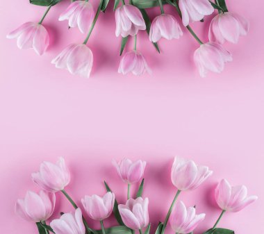 Buket Pembe Lale çiçek pembe bir arka plan üzerinde. Bahar için bekliyor. Anneler günü, 8 Mart, mutlu Paskalya için kartı. Tebrik kartı veya düğün davetiyesi. Düz yatıyordu, en iyi görünümü