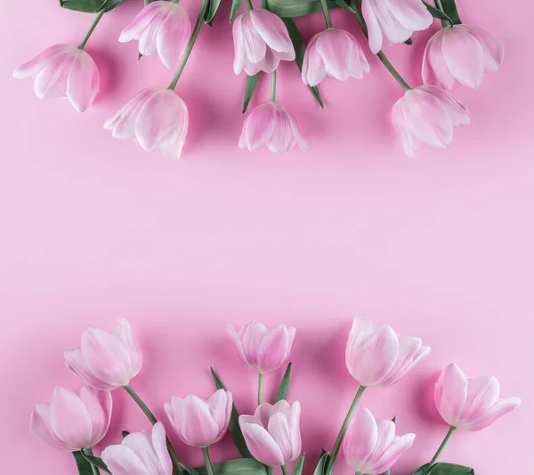 핑크 바탕에 핑크 튤립 꽃의 꽃다발입니다. 봄을 기다리고 있습니다. 어머니의 날, 3 월 8 일, 행복 한 부활절 카드. 인사말 카드 또는 청첩장입니다. 평면 위치, 최고 보기 — 스톡 사진