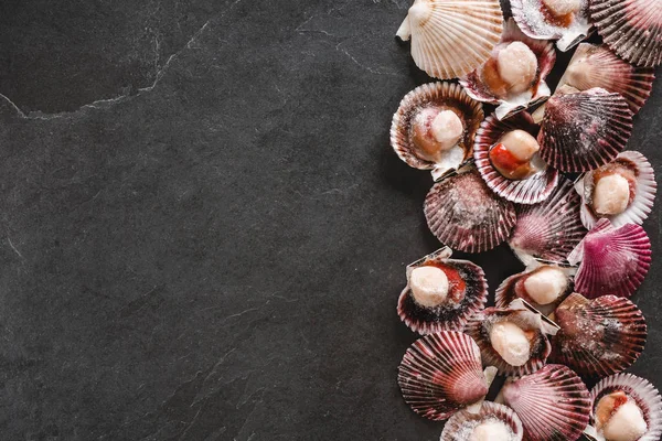 Vieiras cruas em fundo de ardósia. Frutos do mar, Shellfish, vista superior, flat lay, macro — Fotografia de Stock