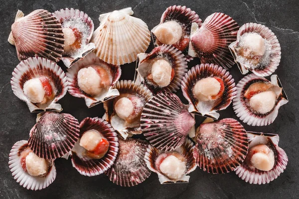 Vieiras cruas em fundo de ardósia. Frutos do mar, Shellfish, vista superior, flat lay, macro — Fotografia de Stock