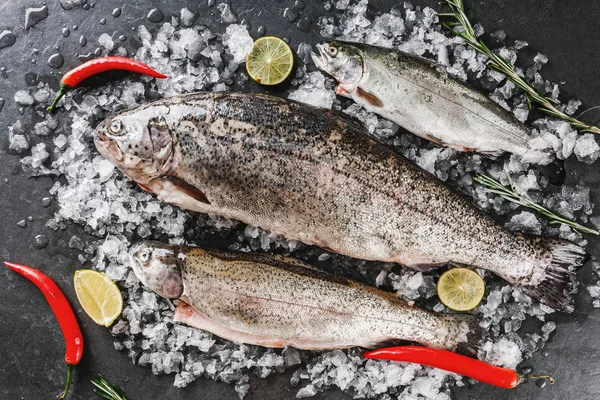 Pesci freschi di trota cruda con spezie, limone, pepe, rosmarino su ghiaccio su fondo pietra scura. Layout creativo fatto di pesce, vista dall'alto, posa piatta — Foto Stock