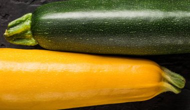 Siyah arka planda sarı ve yeşil kabak. Sağlıklı yiyecekler, üst manzara, düz yatak..