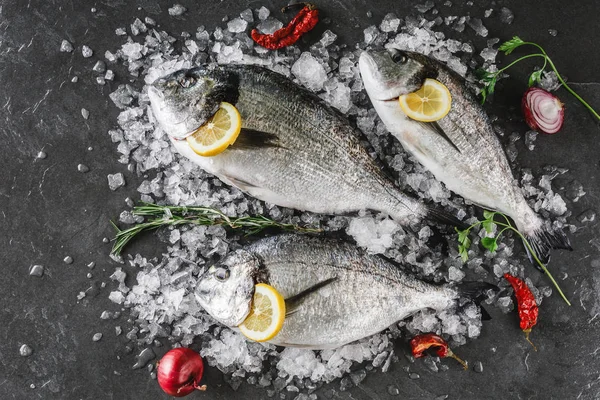 Färsk rå Dorado fiskar med kryddor, citron, peppar, rosmarin på — Stockfoto