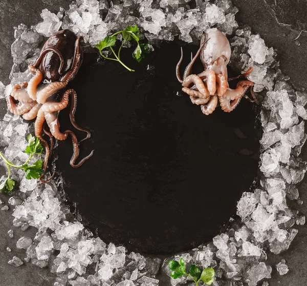 Frische rohe Baby-Kraken mit Gewürzen und Eis auf Schieferstein auf d — Stockfoto