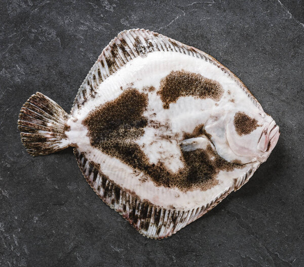 Raw whole flounder fish - back view, on dark stone background. F