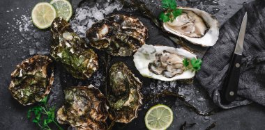 Taze limonlu istiridye, baharat, tuz, bir bıçak ve kayrak taş zemin üzerine yosun açıldı. Deniz ürünleri, kabuklu deniz ürünleri, en iyi görünüm, düz yatıyordu, kopya alanı