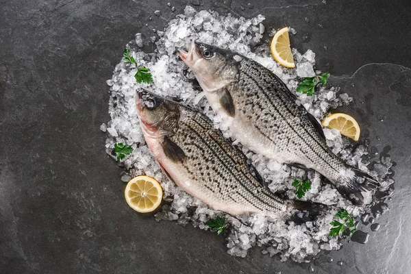 Färska råa fiskar med kryddor, citron på is över mörk sten bakgrund. Kreativ layout gjord av fisk, skaldjur, topp utsikt, platt låg. — Stockfoto