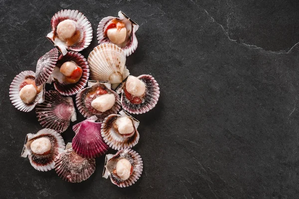 Vieiras cruas em fundo de ardósia. Frutos do mar, Shellfish, vista superior, flat lay, macro . — Fotografia de Stock