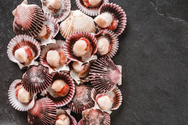 Vieiras cruas em fundo de ardósia. Frutos do mar, Shellfish, vista superior, flat lay, macro . — Fotografia de Stock