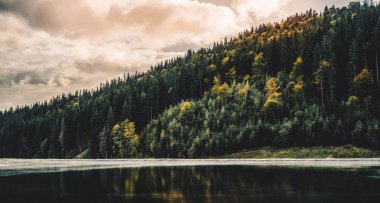 Yeşil kozalaklı orman yamaçları ve manzaralı sisli gölle kaplı göl manzaralı. Dağlarda gün batımı. Turizm konsepti. Mevsim sonbaharı. Seyahat arkaplanı