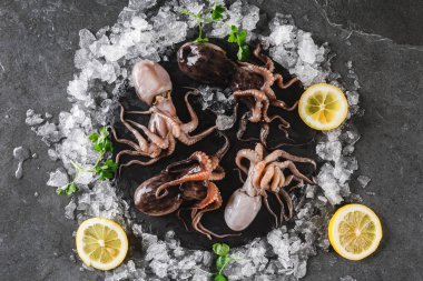 Taze çiğ bebek ahtapotlar üzerinde kayrak taş üzerinde baharat ve buz ile