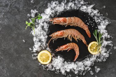 Taze çiğ karides veya kayrak sto üzerinde baharat ve buz ile büyük karides