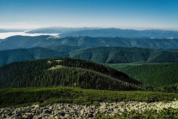 Montagne maestose dei Carpazi. Una vista della boscaglia — Foto Stock