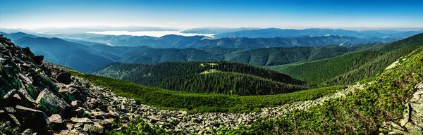 Görkemli Karpat dağları panorama aralığı. Ön planda bir görünüm — Stok fotoğraf