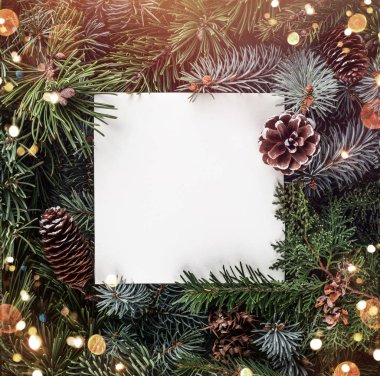 Yaratıcı düzen Noel ağacı dalları kağıt kartı Not, çam kozalakları ile yapılmış. Noel ve yeni yıl tema. Düz yatıyordu, en iyi görünümü